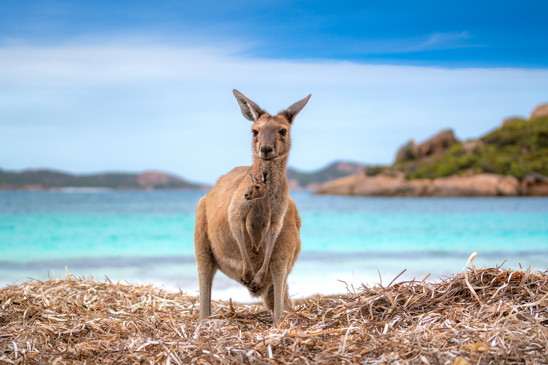 Reisevortrag Australien